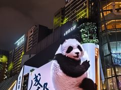 -合景·悠方(成都店)