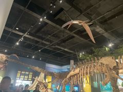 -国家自然博物馆