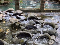 -成都市活水公园