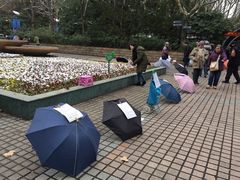 -人民公园-相亲角
