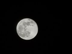 -首都师范大学(良乡校区)