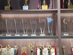 -索菲亚衣柜橱柜家具全屋定制(十里河居然之家店)