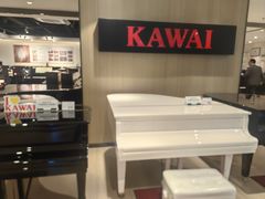 -柏斯音乐艺术中心·钢琴·吉他(上音店)