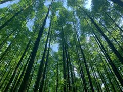-山王坪喀斯特国家生态公园