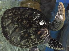 -福州罗源湾海洋世界旅游区