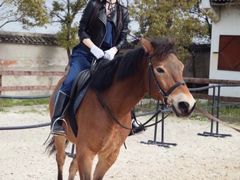 -松声马术俱乐部