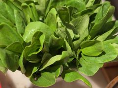 -初蓉丨遇见新川菜(亲贤街荣耀店)