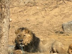 -北京野生动物园