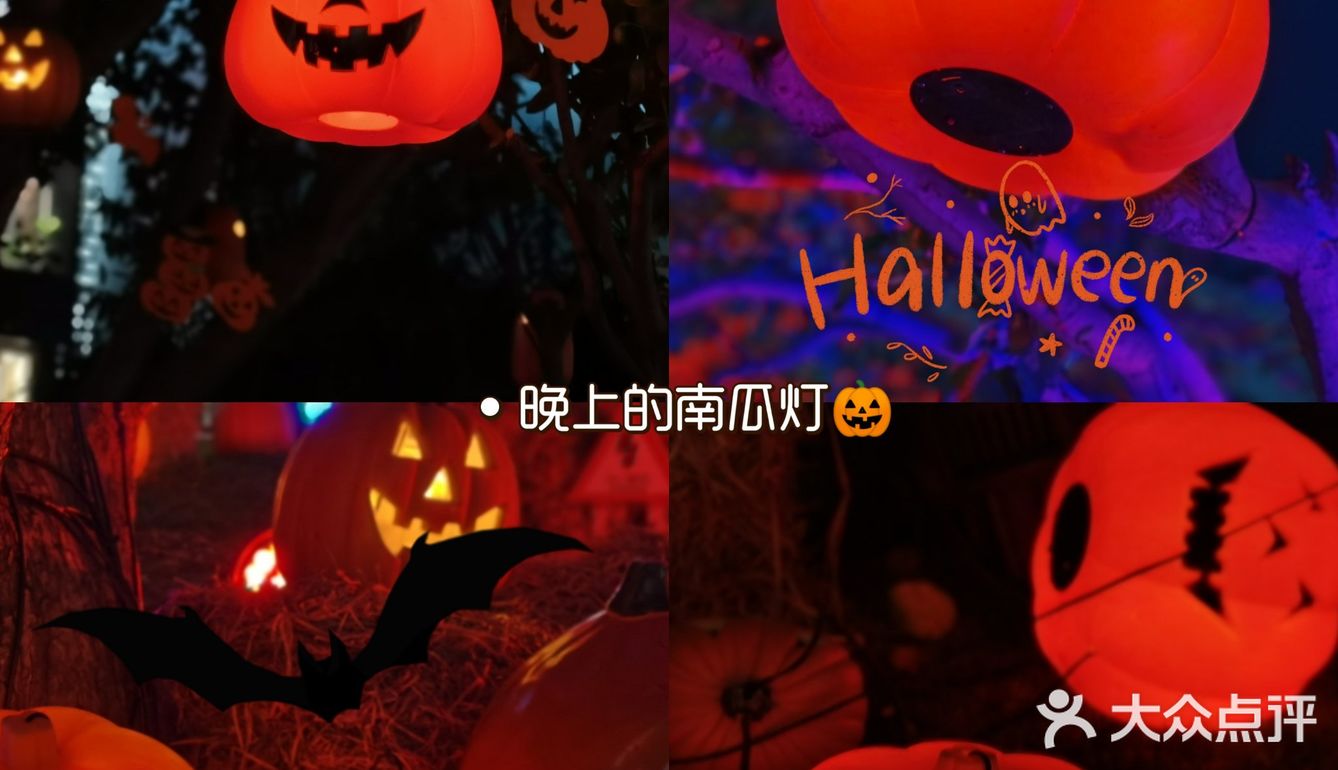 SOLANA万圣节🎃