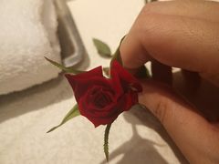 -荣粤酒家·融合粤菜