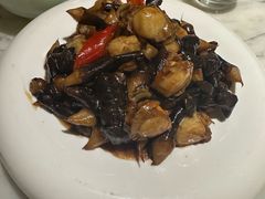 鸡枞菌炒扇贝-青雅中餐厅(大连金石滩绿发希尔顿度假酒店)