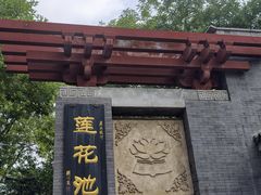 -莲花池公园