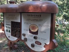 -北京西山国家森林公园