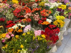 -双季花艺园艺市场(浦东店)