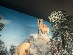 -浙江自然博物院(杭州馆)