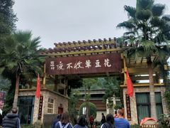 -夜不收荤豆花(大邑总店)