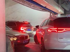 -三亚新鸿港水果一级批发市场