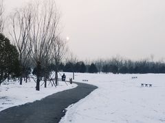-东郊湿地公园