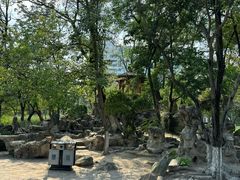 -莲湖公园