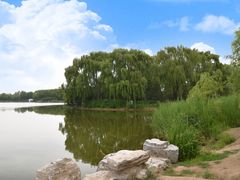 -大兴滨河森林公园