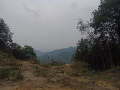 -大龙山(地铁站)