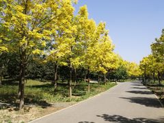 -东郊湿地公园