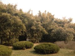 -蜀冈西峰生态公园