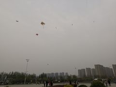 -丁香湖公园