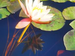 -华南国家植物园-售票处