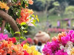 -广州市白云山风景名胜区