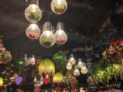 大堂-贝贝龙虾·音乐餐厅(昌平东关店)