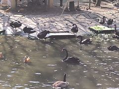 -黔灵山公园