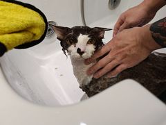 -FAELING PETS美天灵宠物(富力广场店)