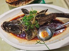 石斑鱼-琼菜坊·无鸡不成宴·海南菜老爸茶糟粕醋(海口骑楼老街店)