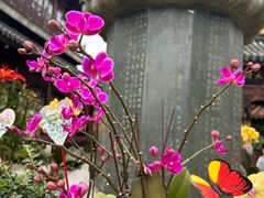 -西林禅寺