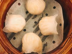 虾饺-添好运点心专门店(深水埗店)