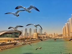 -星海湾跨海大桥