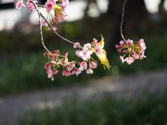 -静安雕塑公园