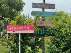 -前小桔亲子创意农场·草莓采摘·露营烧烤