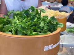 -龍歌自助小火锅(李沧丽达店)