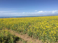 -青海湖国家重点风景名胜区