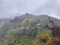-莫干山风景区
