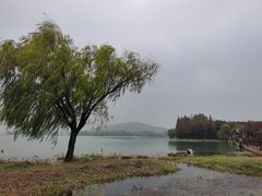 -渤公岛生态公园