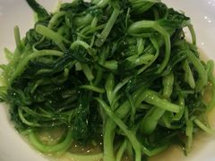 -沪碟·精菜坊(闵行店)