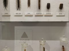 -四川大学博物馆