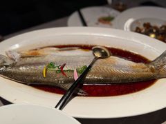 -醉庐·新上海菜(南京西路店)