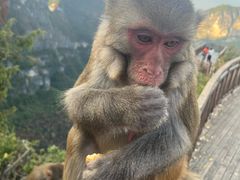 -重庆云阳龙缸景区