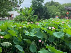 -丝绸小镇荻港古村