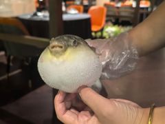 -肆月河豚·淮扬菜·湘菜(华天店)