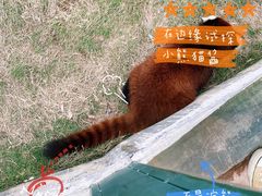 -泉州海丝野生动物世界